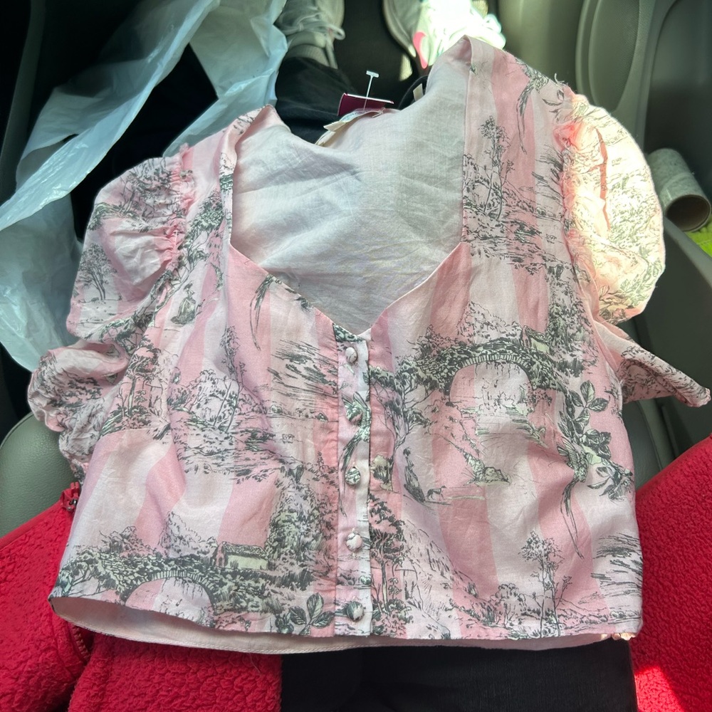 LoveShackFancy Pink Toile Crop Top